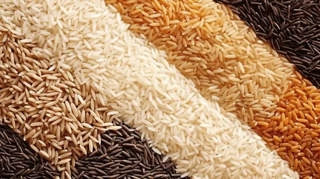 pngtree-seamless-vector-pattern-of-rice-texture-a-variety-of-cereal-grains-image_13914570